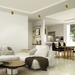 Накладной потолочный светильник DLN104 GU10