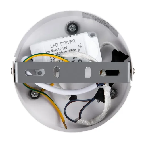Настенный светильник (бра) FR6125WL-L16W Желание / Wish 17 Вт LED (Белый) FR6125WL-L16W - фото 12