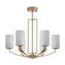 Подвесной светильник Арриччи / Arricci (Латунь) FR2059PL-06BS - фото 13