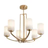 Подвесной светильник Арриччи / Arricci (Латунь) FR2059PL-06BS - фото 15