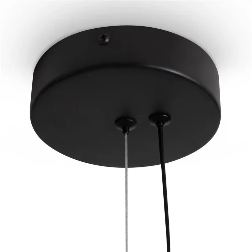 Подвесной светильник Freya FR6186PL-L7SM2 (Черный) - фото 2