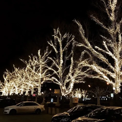 Светодиодная Ветвь 0,5м Тепло-Белая 24В, 52 LED, Провод Черный ПВХ, IP54, Комплект 3шт. Фото 1.