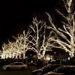 Светодиодная Ветвь 0,5м Тепло-Белая 24В, 52 LED, Провод Черный ПВХ, IP54, Комплект 3шт