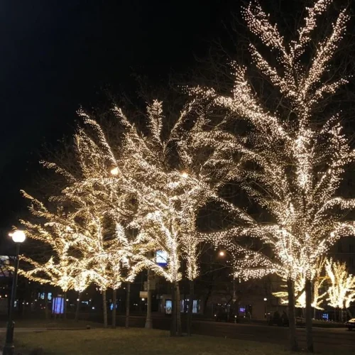 Светодиодная Ветвь 0,5м Тепло-Белая 24В, 52 LED, Провод Черный ПВХ, IP54, Комплект 3шт. Фото 5.