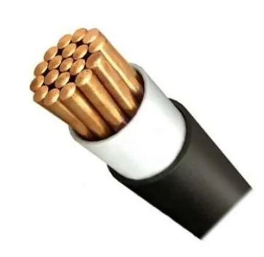 Кабель ВВГнг(А)-LS 1х185 МК С 1кВ (м) Агрокабель 38232 - фото