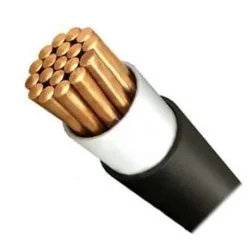 Кабель ВВГнг(А)-LS 1х185 МК С 1кВ (м) Агрокабель 38232