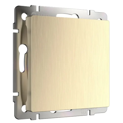 Заглушка (шампань рифленый) W1159210 - фото