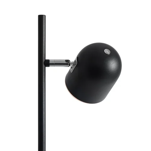 Напольный светильник (торшер) Freya FR5279FL-L7B (Черный) - фото 5