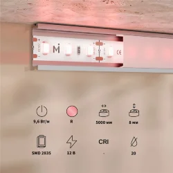 Светодиодная лента Base 12В 2835 9,6Вт/м Red 5м IP 20 201171 (Белый)