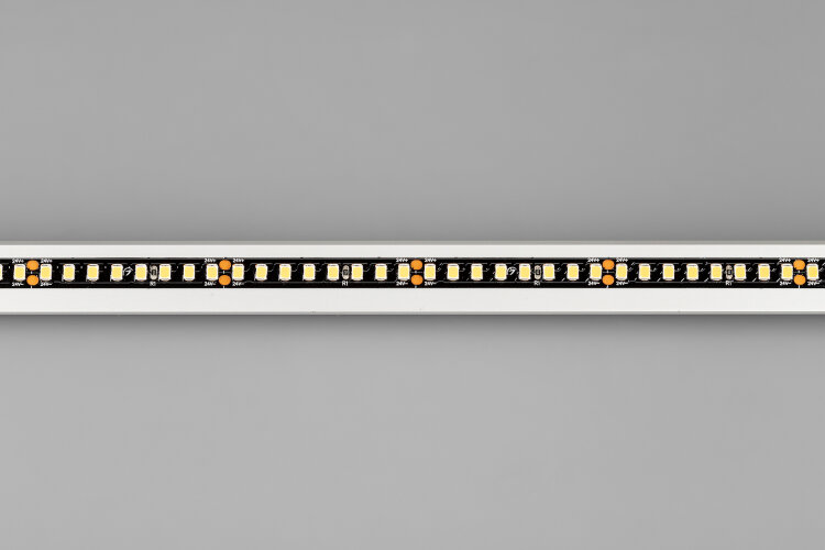 Светодиодная лента RT-5000-2835-160-24V Day4000 (Black 8mm, 12W/m, IP20) (Arlight) - фото 2