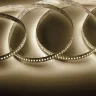 Светодиодная лента Standart PRO class, 3014, 240 LED, day white, 24V, IP20, V129 - фото I