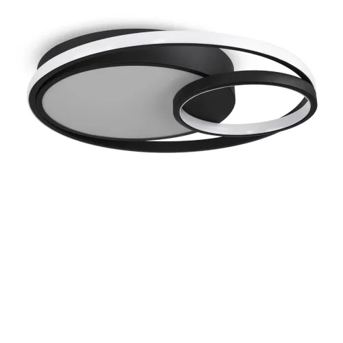 Потолочный светильник Freya FR10028CL-L80B (Черный) - фото 2