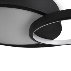 Потолочный светильник Freya FR10028CL-L80B (Черный)