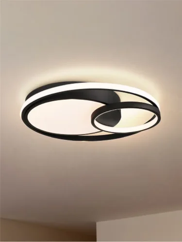 Потолочный светильник Freya FR10028CL-L80B (Черный) - фото 5