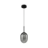 Подвесной светильник Freya FR1011PL-01B2 (Черный) - фото