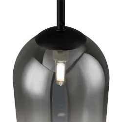 Подвесной светильник Freya FR1011PL-01B2 (Черный)
