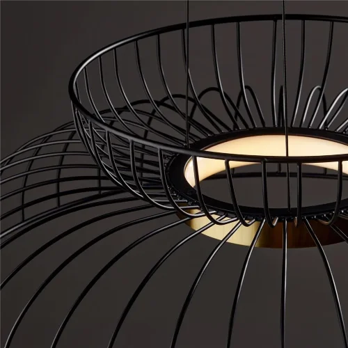 Подвесной светильник Freya FR5398PL-L6B (Черный) - фото 4