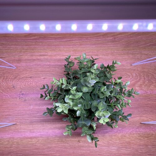 ULI-P10-18W-SPFR IP40 SILVER Светильник для растений светодиодный линейный, 560мм, выкл, на корпусе, Спектр для фотосинтеза, TM Uniel - фото 7