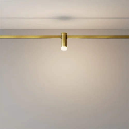 Трековый светильник Skim Flarity 3000K 2Вт 110° (Латунь) - фото 4