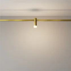 Трековый светильник Skim Flarity 3000K 2Вт 110° (Латунь)