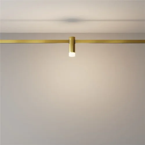 Трековый светильник Скольжение / Skim Flarity 3000K 2Вт 110° (Латунь) TR145-1-3W3K-W-BS - фото 8