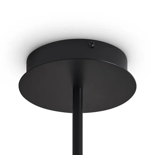 Потолочный светильник Freya FR5541CL-L30B (Черный) - фото 6