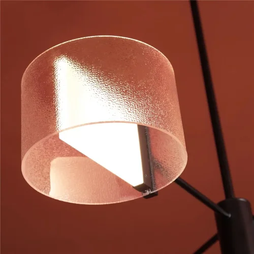 Потолочный светильник Freya FR5541CL-L30B (Черный) - фото 10