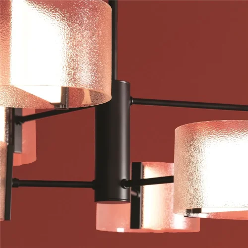 Потолочный светильник Freya FR5541CL-L30B (Черный) - фото 8