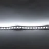 Светодиодная лента Standart PRO class , 3528, 120 led/m, white, 24V, B191, IP20 - фото I