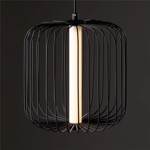 Подвесной светильник Freya FR6131PL-L13B (Черный) - фото 4