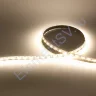 Светодиодная лента LUX class, 5050, 60led/m, Day White, 24V, IP20, B155 - фото.