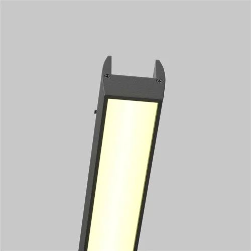 Трековый светильник Базис / Basis Elasity 3000K 16Вт (Черный) TR161-1-16W3K-B - фото 7