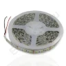Светодиодная лента Standart PRO class, 5050, 120 led/m, White, 24V, IP65 - фото.