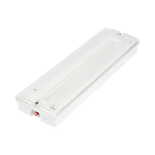 Аварийный светильник WOLTA PRO ОРИЕНТИР ДБО03-4-052-6К с БАП EM3 4.5Вт 6500К IP65 Прозрачный - фото 1.