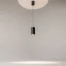 Подвесной светильник Вол / Vol 4000К 20Вт (Черный) P100PL-20W4K-B - фото 4