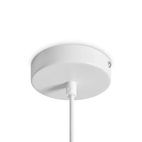 Подвесной светильник Freya FR5530PL-L10W (Белый) - фото 2