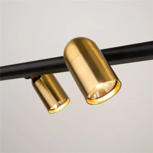 Подвесной светильник Inversio G9х2 (Черный и Латунь) - фото 4