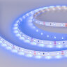 Светодиодная лента RT-A60-8mm 12V Blue (4.8 W/m, IP20, 2835, 5m) (Arlight, 4.8 Вт/м, IP20) 010523(3) - фото