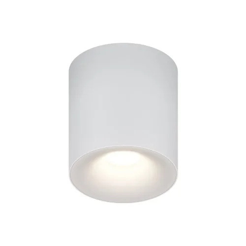 Потолочный светильник Spark GU10 10Вт (Белый) - фото