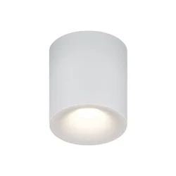 Потолочный светильник Spark GU10 10Вт (Белый)