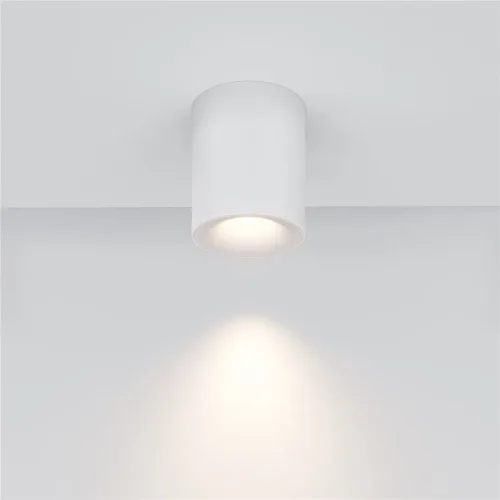 Потолочный светильник Spark GU10 10Вт (Белый) - фото 4