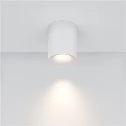 Потолочный светильник Spark GU10 10Вт (Белый)