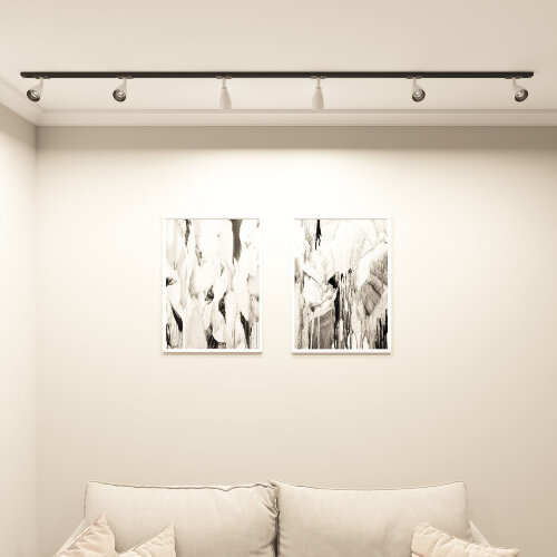 DK6050-BW+BK Трековый светильник IP 20, 15 Вт, GU10, черный с белым, алюминий, пластик. Фото 5