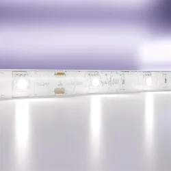 Светодиодная лента 24В 5050 7,2Вт/м 6000K 5м IP65 (Белый) 10165