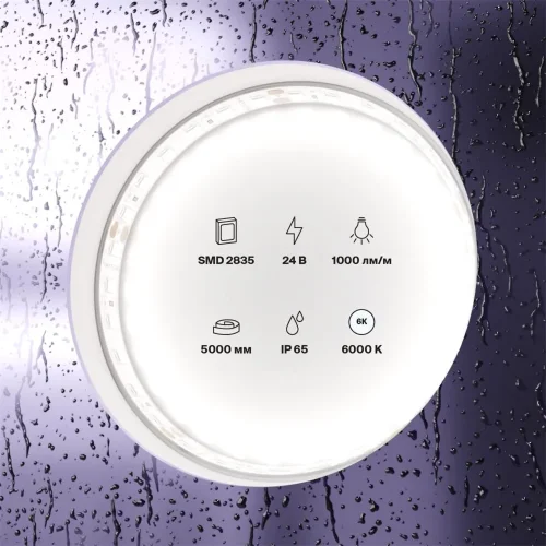 Светодиодная лента 24В 2835 9,6Вт/м 6000K 5м IP65 (Белый) - фото 7