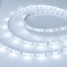 Светодиодная лента RT 2-5000 12V Cool 8K (5060, 150 LED, LUX) (Arlight, 7.2 Вт/м, IP20) 016890 - фото