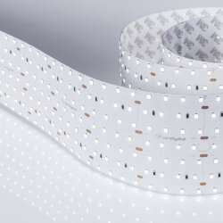 Светодиодная лента S2-2500 24V White 6000К 85mm (2835, 560 LED/m, LUX) (Arlight, 40 Вт/м, IP20) 023408