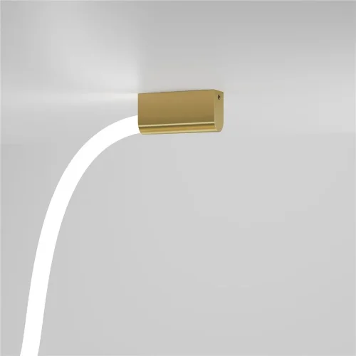 Накладные крепления для круглого гибкого неона Full light латунь FL 28101 - фото