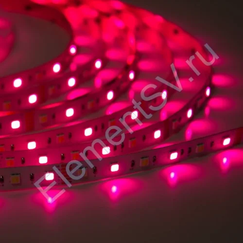 Светодиодная лента Class Premium 3838 72 led/m, RGB+CCT (RGB+white/ warm white), 12V, IP20, А41 - фото.