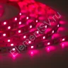 Светодиодная лента Class Premium 3838 72 led/m, RGB+CCT (RGB+white/ warm white), 12V, IP20, А41 - фото.